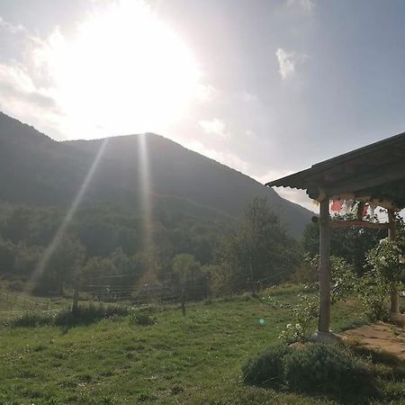 Bright Loft With Mountain And Nature View Sougraigne Luaran gambar