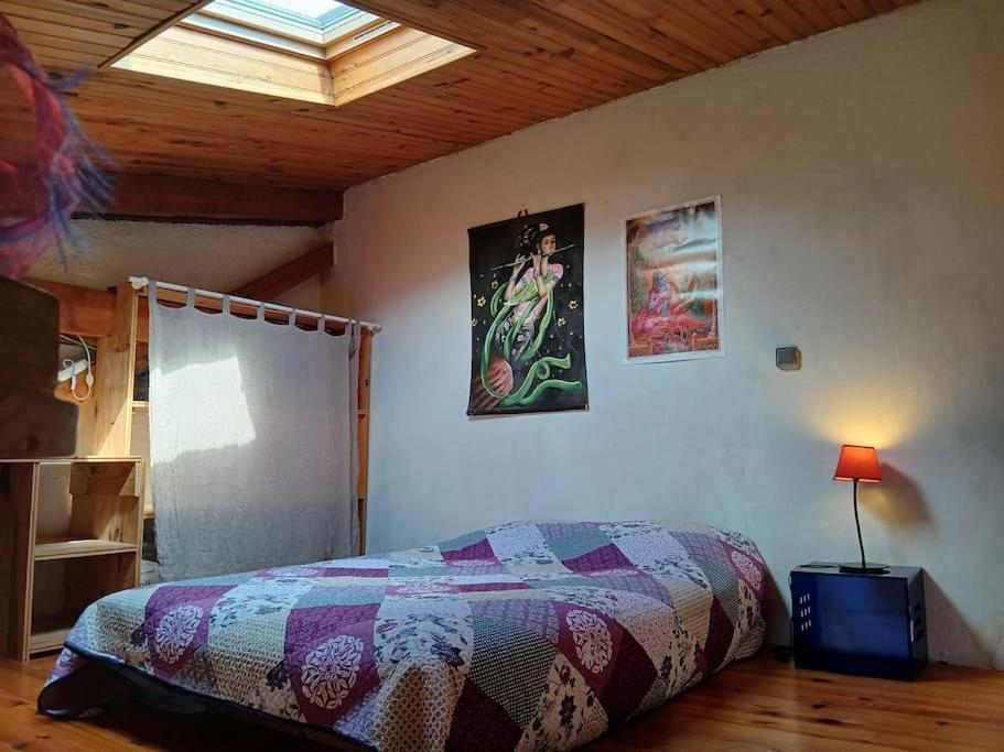 Bright Loft With Mountain And Nature View Sougraigne Luaran gambar
