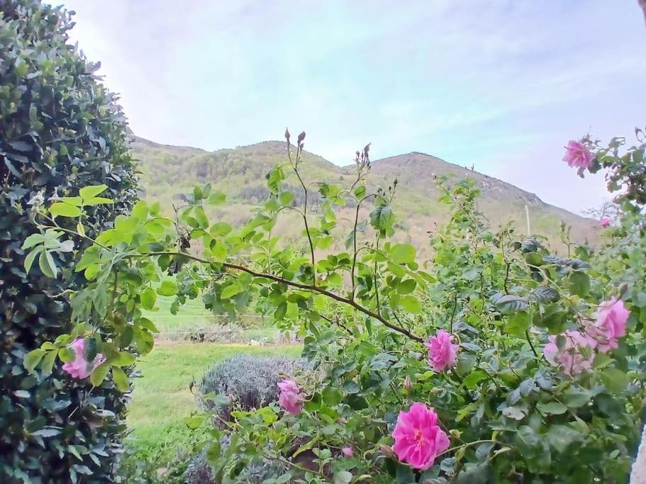 Bright Loft With Mountain And Nature View Sougraigne Luaran gambar
