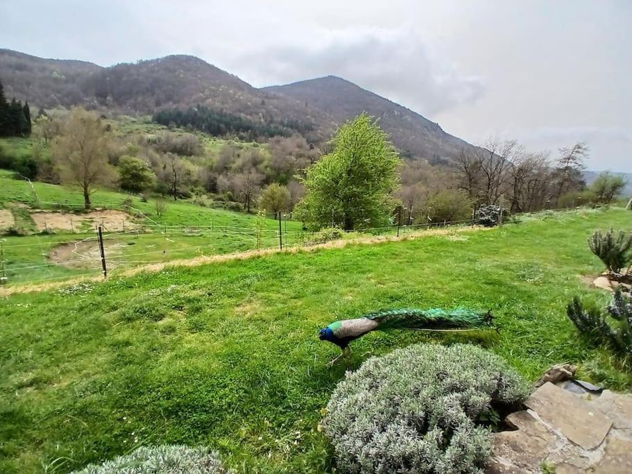 Bright Loft With Mountain And Nature View Sougraigne Luaran gambar